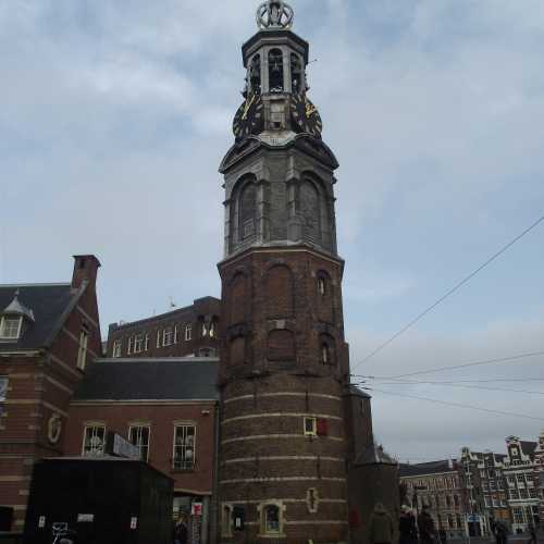 Амстердам. Монетная башня. (09.01.2018)
