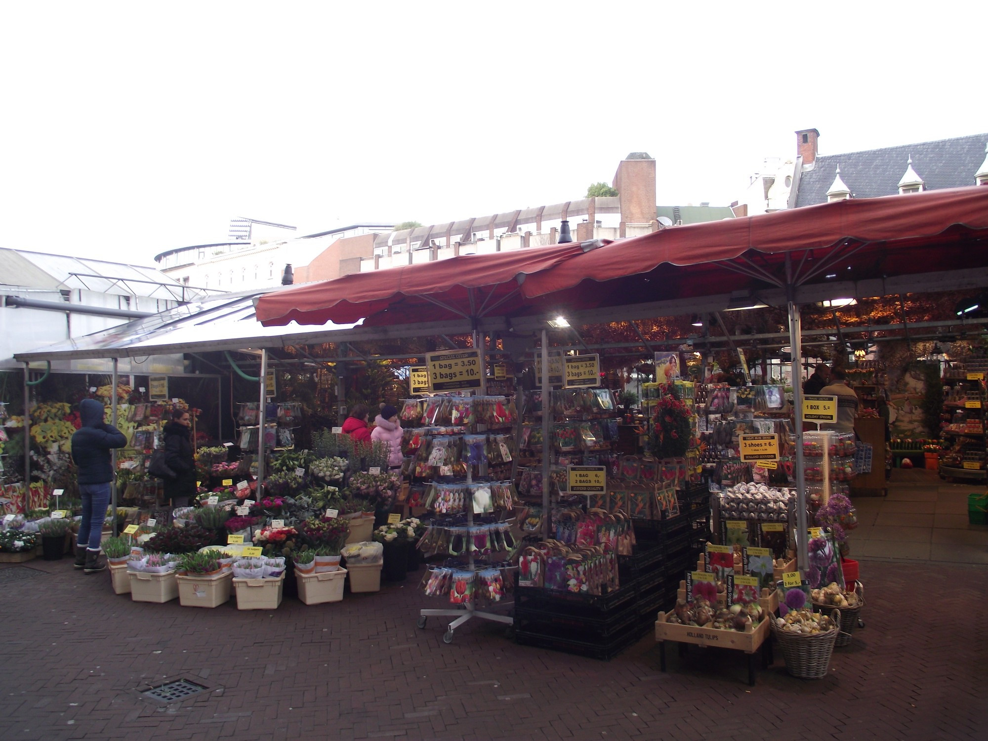 Амстердам. Цветочный рынок. (09.01.2018)