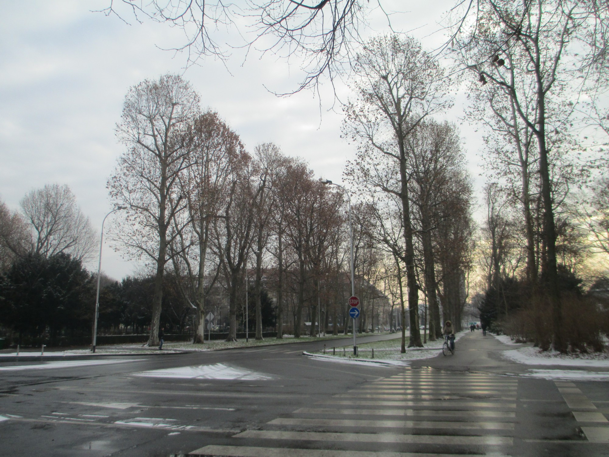 Загреб. Парк короля Петра Крешимира IV. (03.01.2017)