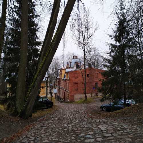 Тарту. Холм Тоомемяги. (21.12.2019)