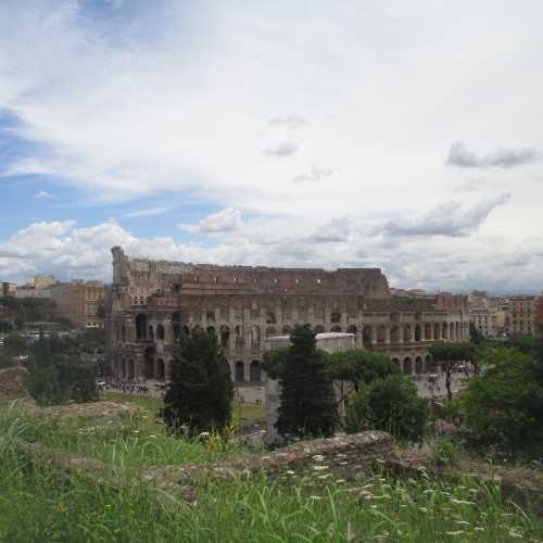 Рим. Вид с Палатинского холма. (10.07.2014)