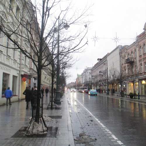 Вильнюс. Проспект Гедиминаса (02.01.2015)