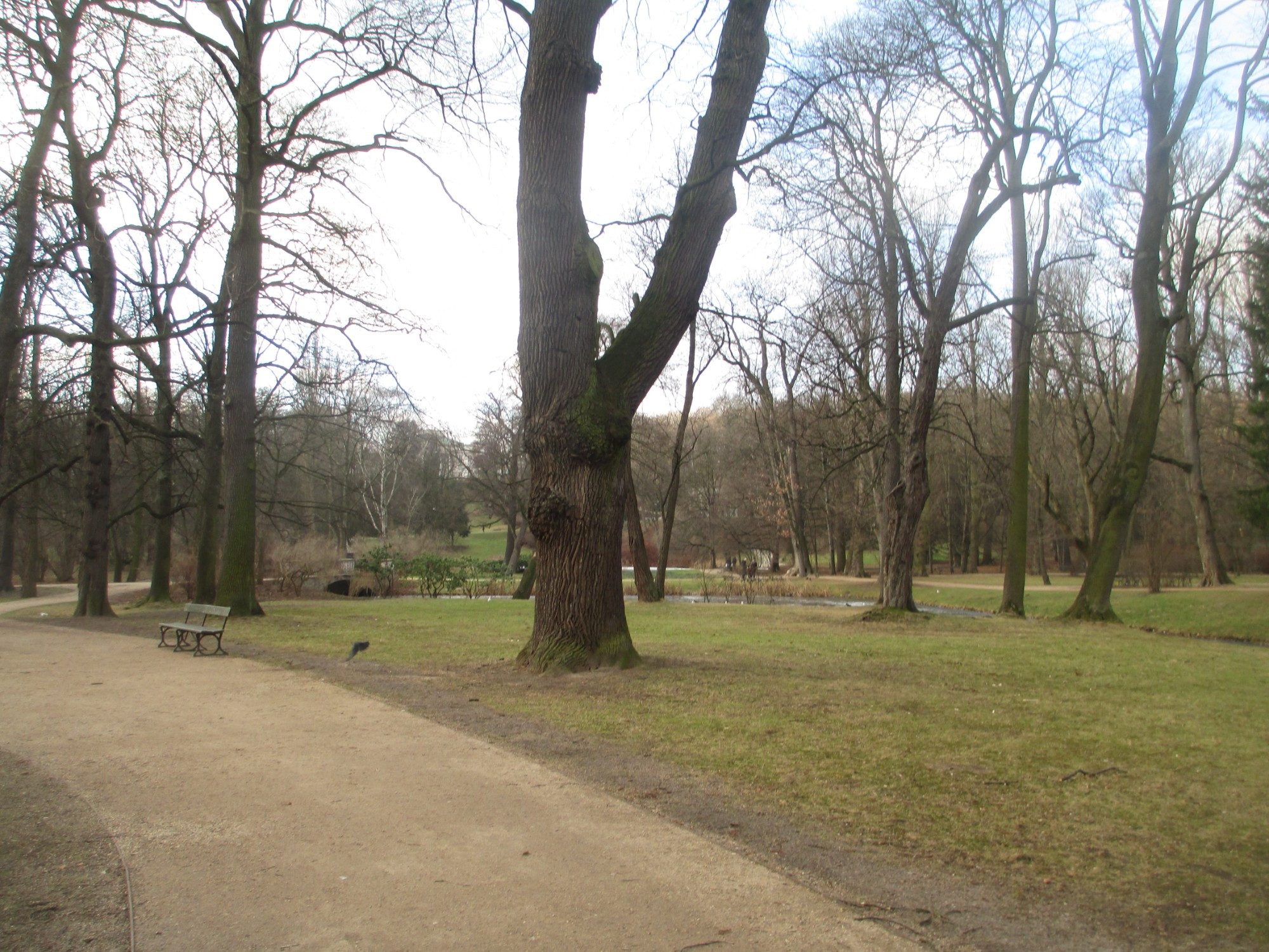 Варшава. Лазенковский парк (05.01.2015)