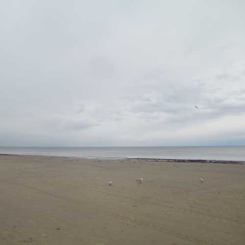 Пляж Юрмалы. (10.06.2016)