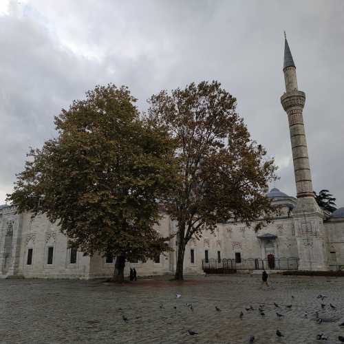 Стамбул. Мечеть Беязит. (05.11.2020)