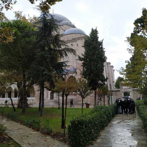 Стамбул. Парк у мечети Сулеймание. (05.11.2020)