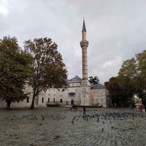 Стамбул. Площадь Беязит. (05.11.2020)