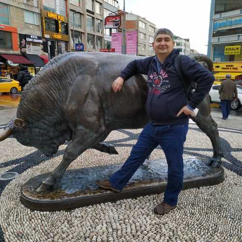 Стамбул. Я у статуи быка в районе Кадыкёй. (04.11.2020)