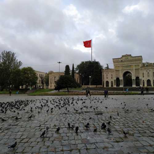 Стамбул. Площадь Беязит. (05.11.2020)