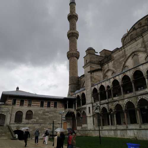 Стамбул. Голубая мечеть. (05.11.2020)