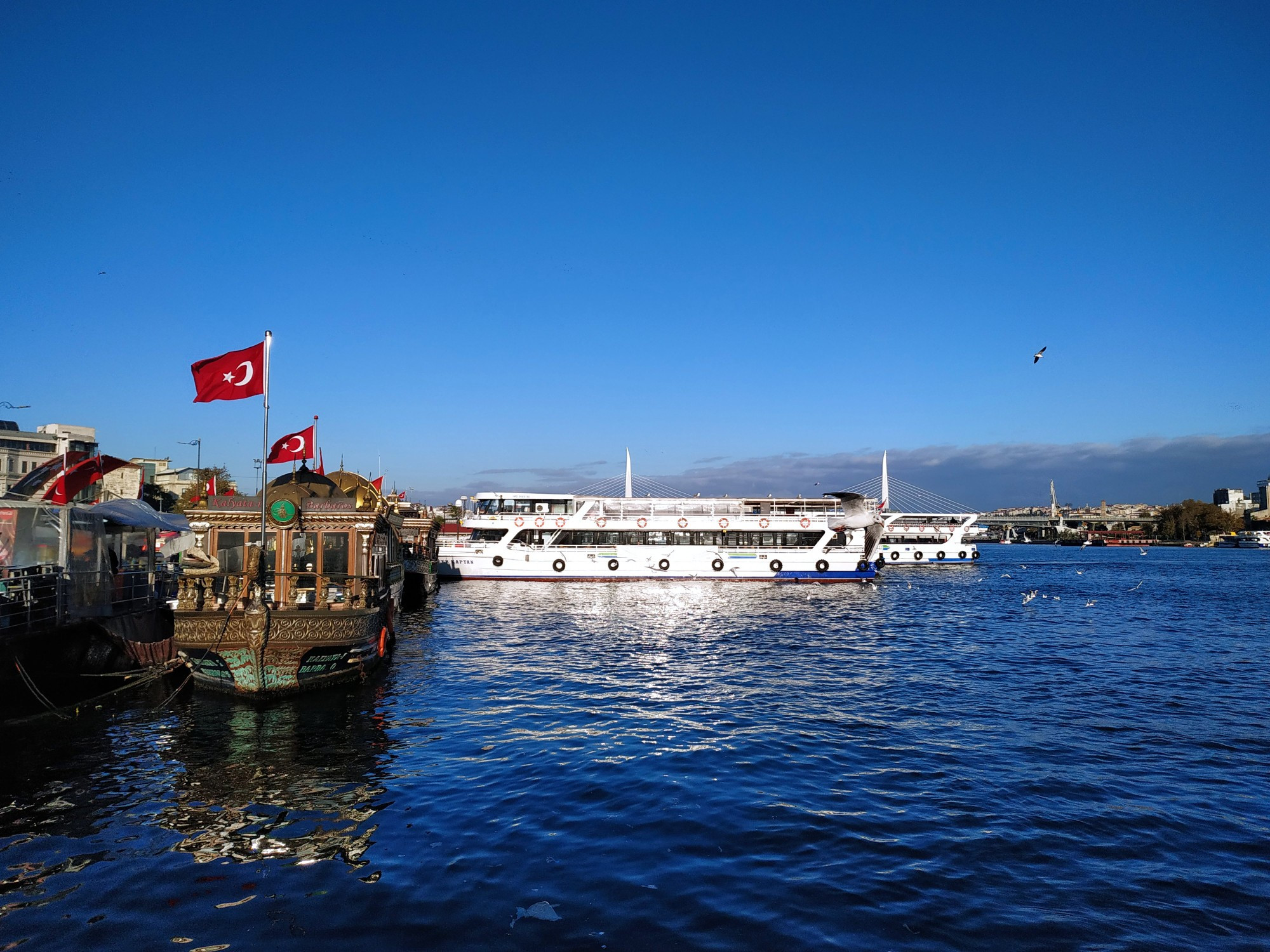 Стамбул. Бухта Золотой Рог. (08.11.2020)