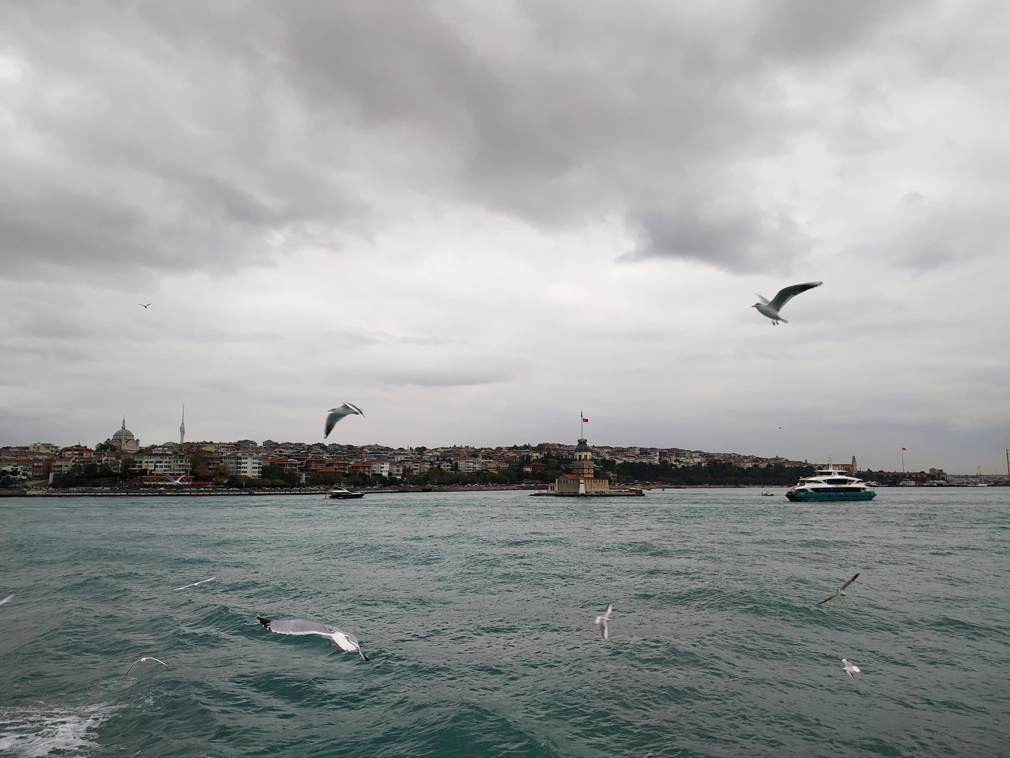 Стамбул. Вид с парома. (07.11.2020)