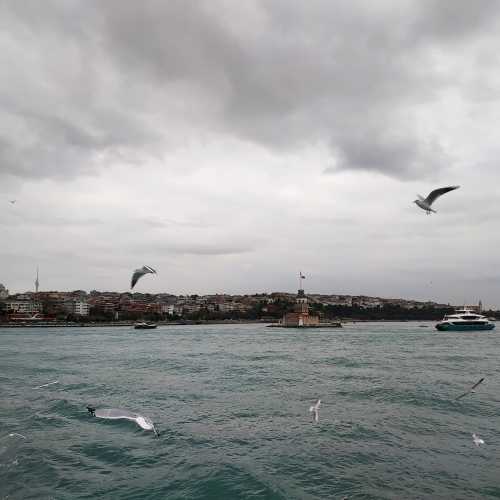Стамбул. Вид с парома. (07.11.2020)