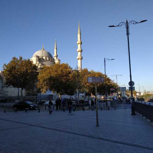 Стамбул. Около Новой мечети. (08.11.2020)
