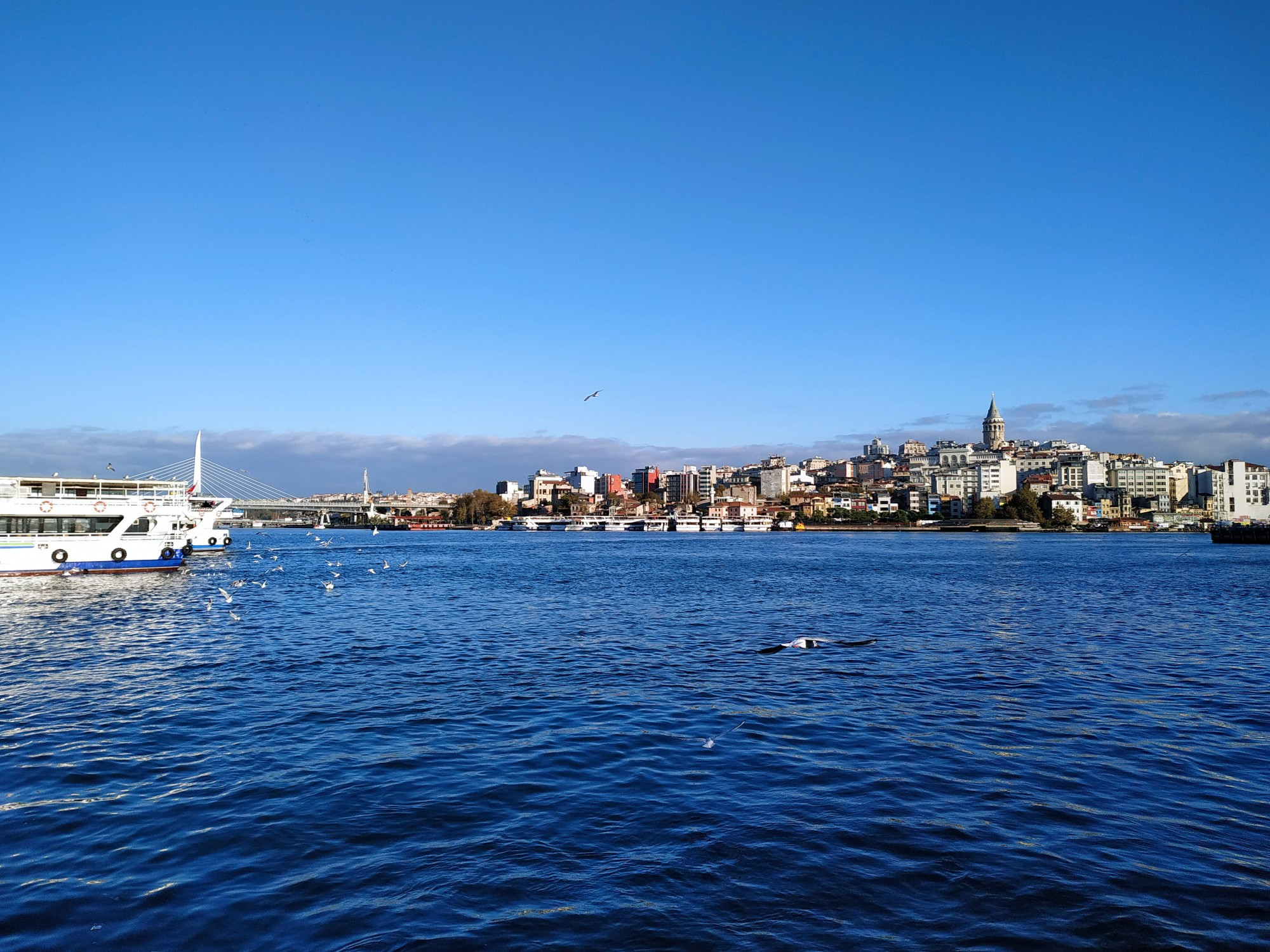 Стамбул. Вид на бухту Золотой Рог. (08.11.2020)