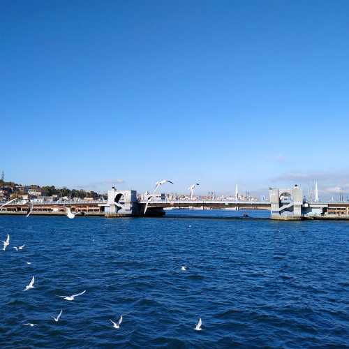 Стамбул. Вид на Галатский мост с парома. (08.11.2020)