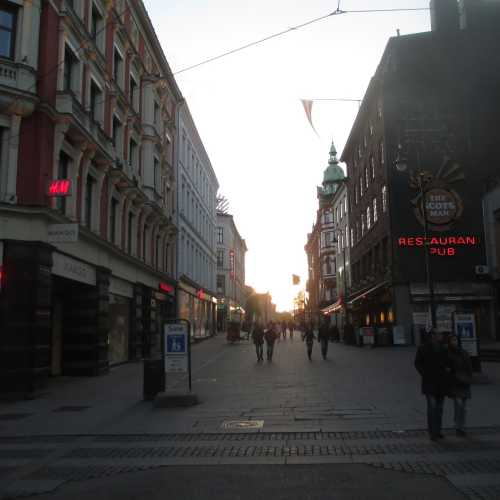 Осло. Улица Карл Юханс Гата. (01.05.2015)