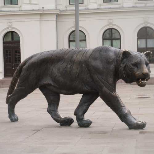 Осло. Тигр на площади Йернбанеторьет. (03.05.2015)