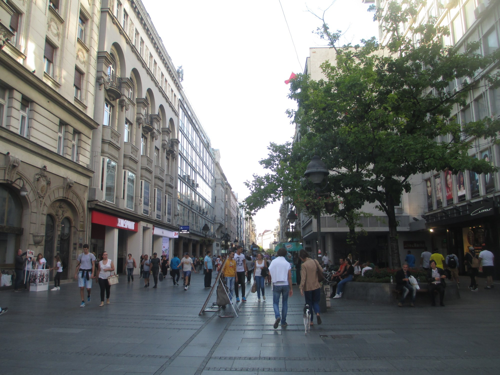 Белград. Улица Князя Михаила. (13.09.2015)
