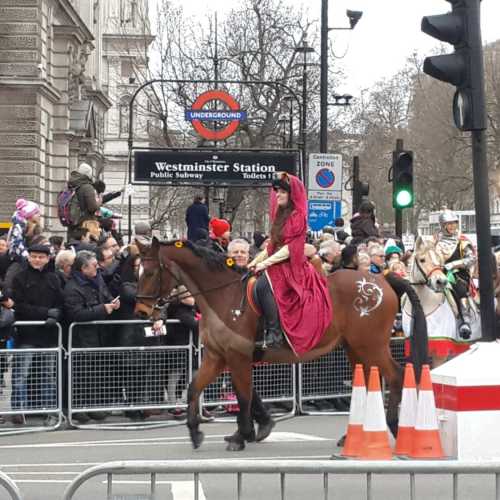 Лондонский новогодний парад. (01.01.2016)