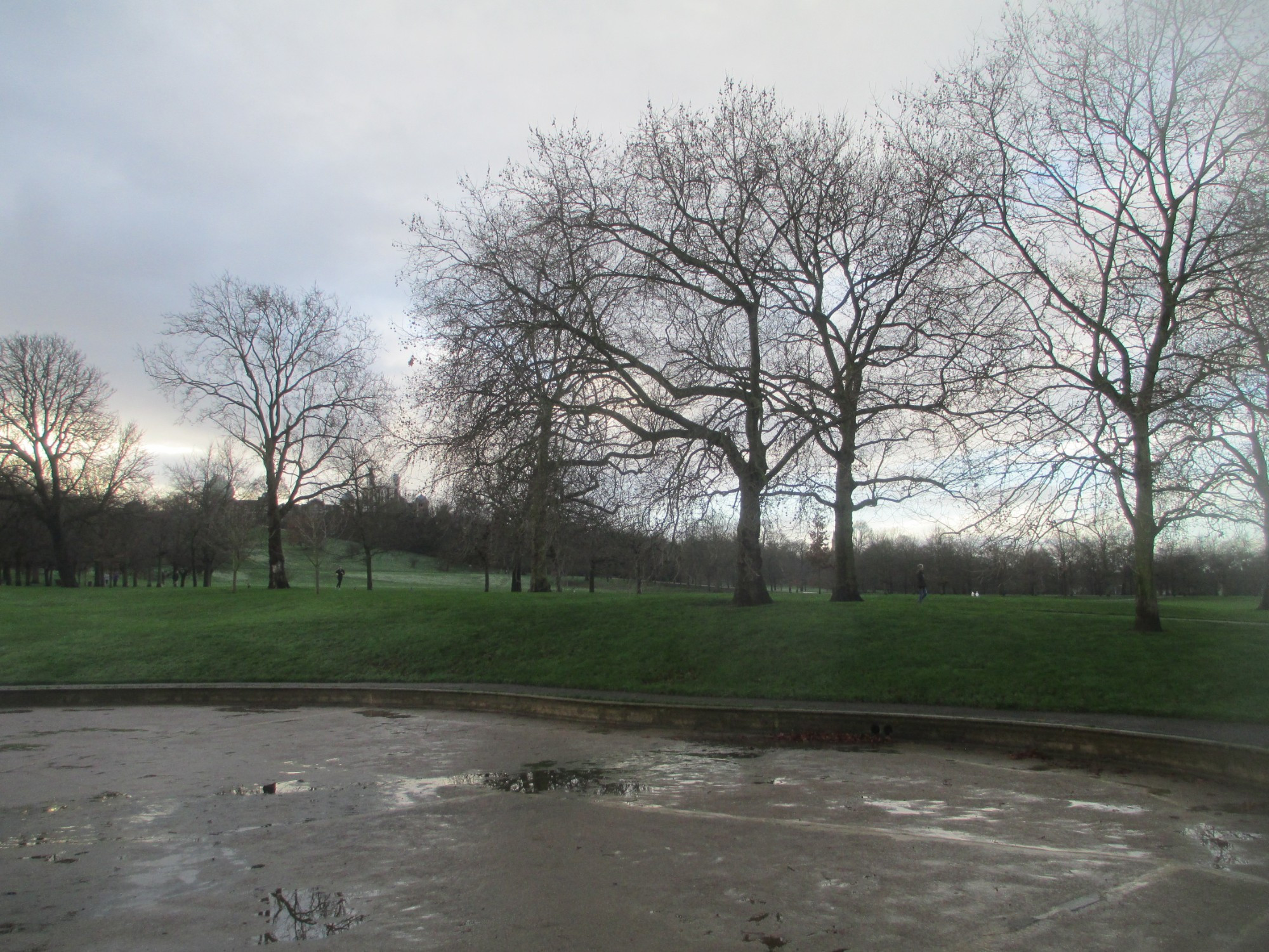 Лондон. Гринвичский парк. (04.01.2016).