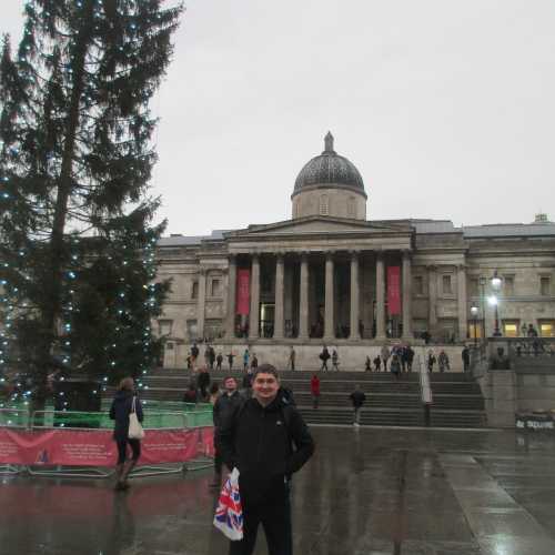 Лондон. Я на Трафальгарской площади. (03.01.2016).