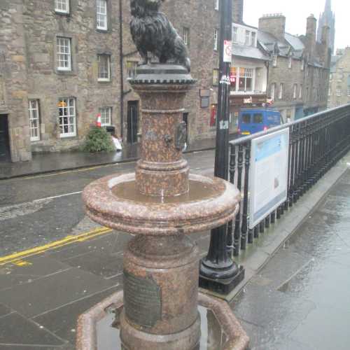 Эдинбург. Памятник собаке Грейфрайерс Бобби. (05.01.2016).