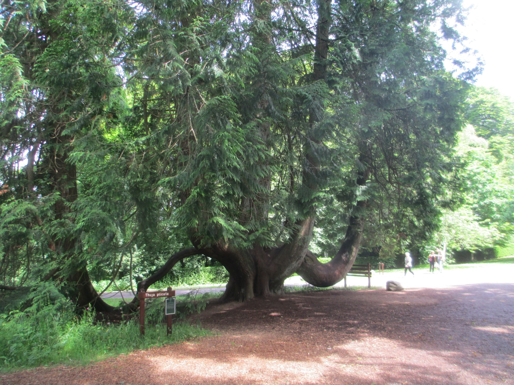 Blarney, Ирландия