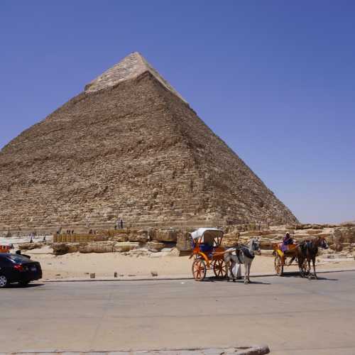 Плато Гиза. Транспорт у пирамиды Хефрена. (15.05.2021)
