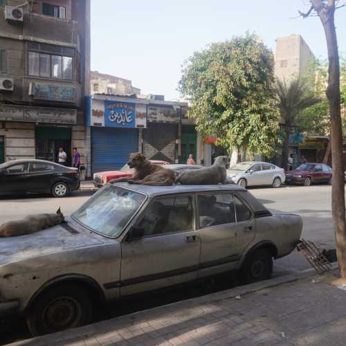 Каир. (16.05.2021)
