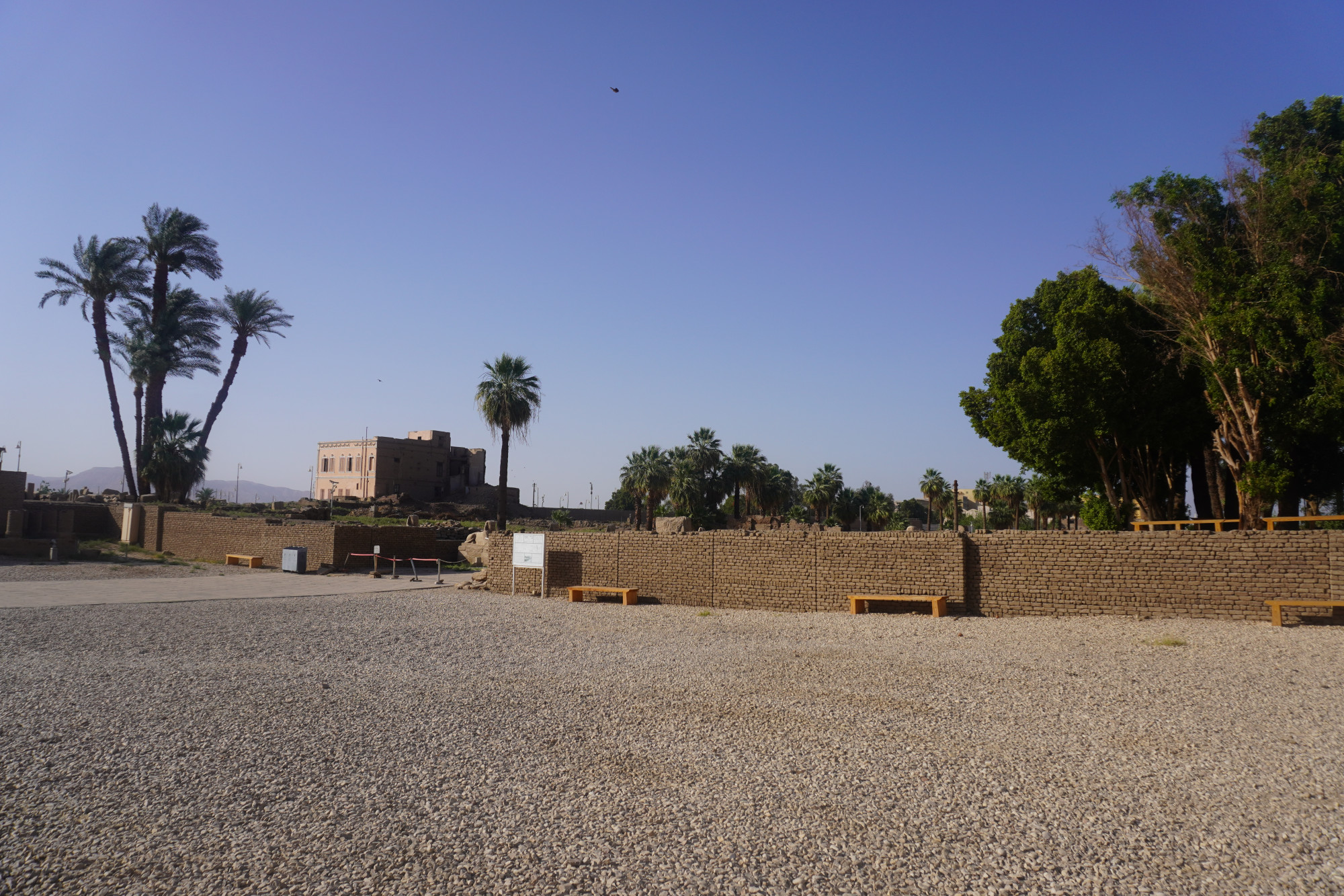 Луксор. Около входа в Луксорский храм. (17.05.2021)