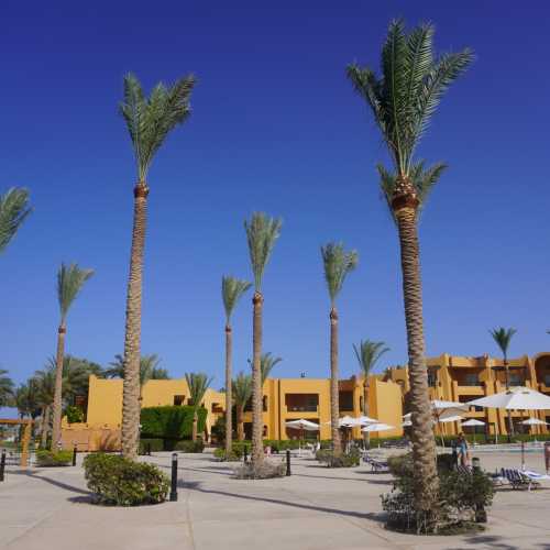 Макади-Бэй. Отель «Stella Di Mare Beach Resort & Spa». (20.05.2021)