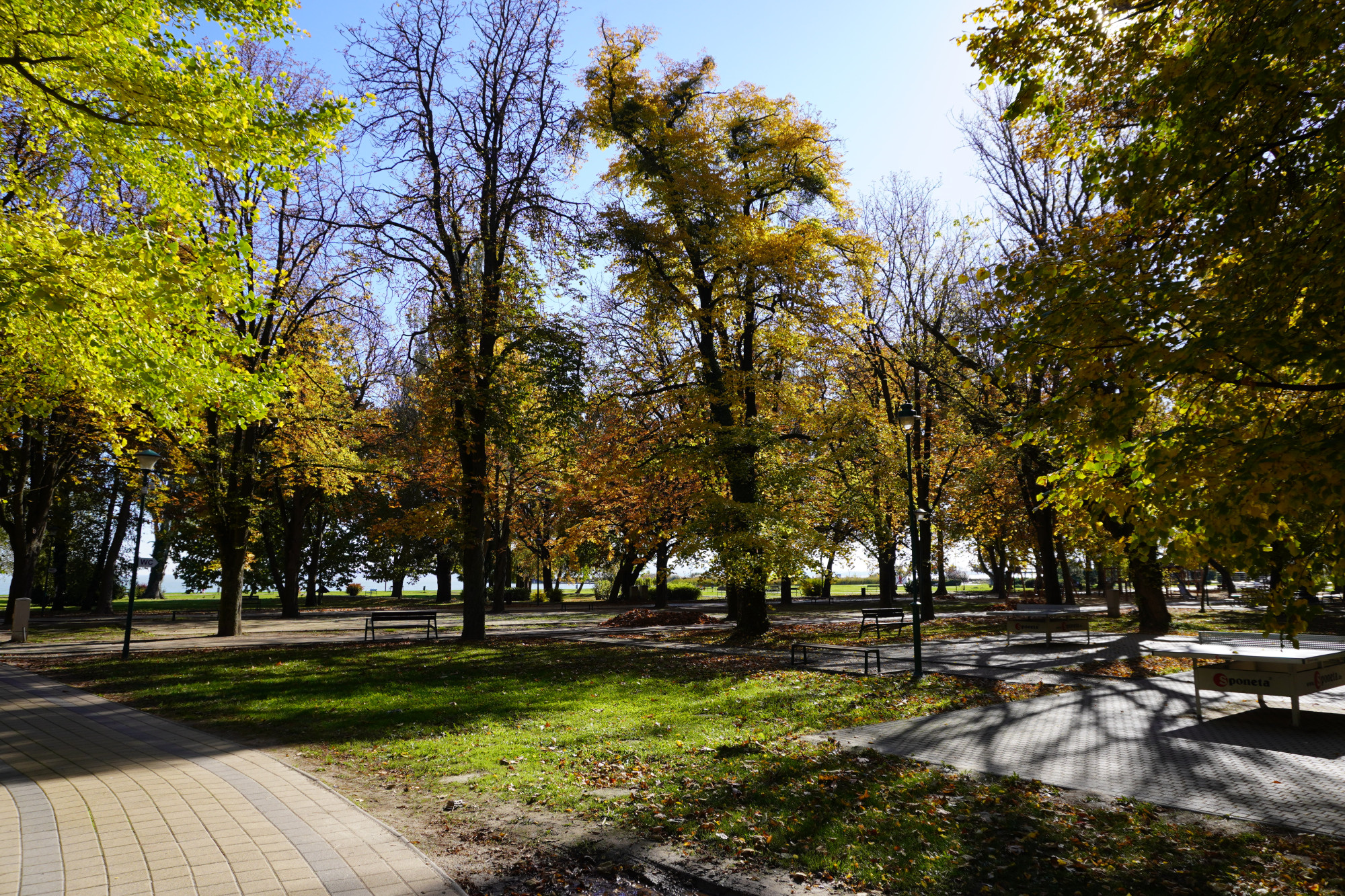 Кестхей, Венгрия