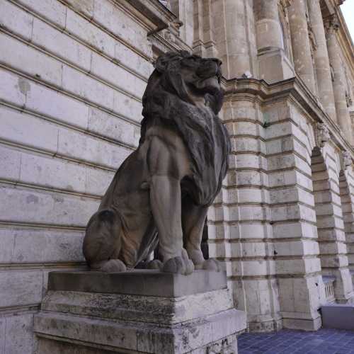 Будапешт. Королевский дворец. (28.10.2021)