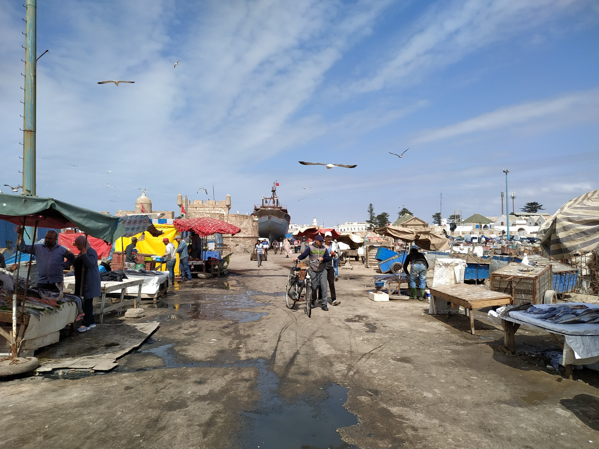 Эс-Сувейра. Рыбный рынок. (15.03.2020)