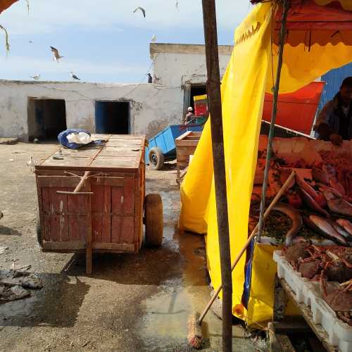 Эс-Сувейра. На рыбном рынке. (15.03.2020)
