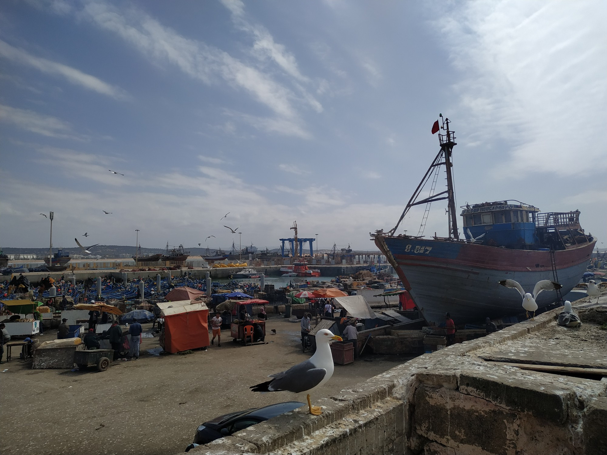 Эс-Сувейра. Вид на рыбный рынок со Скала-дю-Порт. (15.03.2020)
