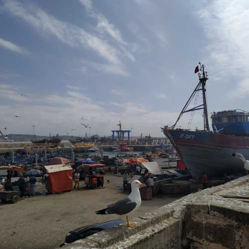 Эс-Сувейра. Вид на рыбный рынок со Скала-дю-Порт. (15.03.2020)