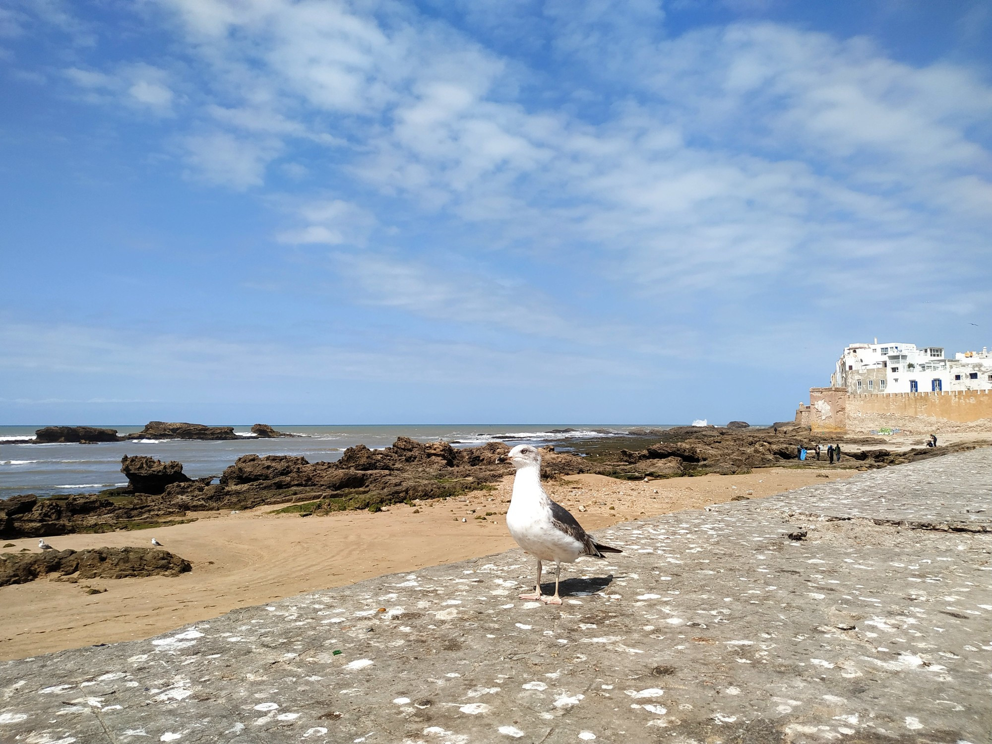 Essaouira, Morocco