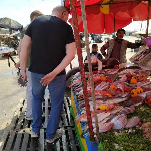 Эс-Сувейра. На рыбном рынке. (15.03.2020)