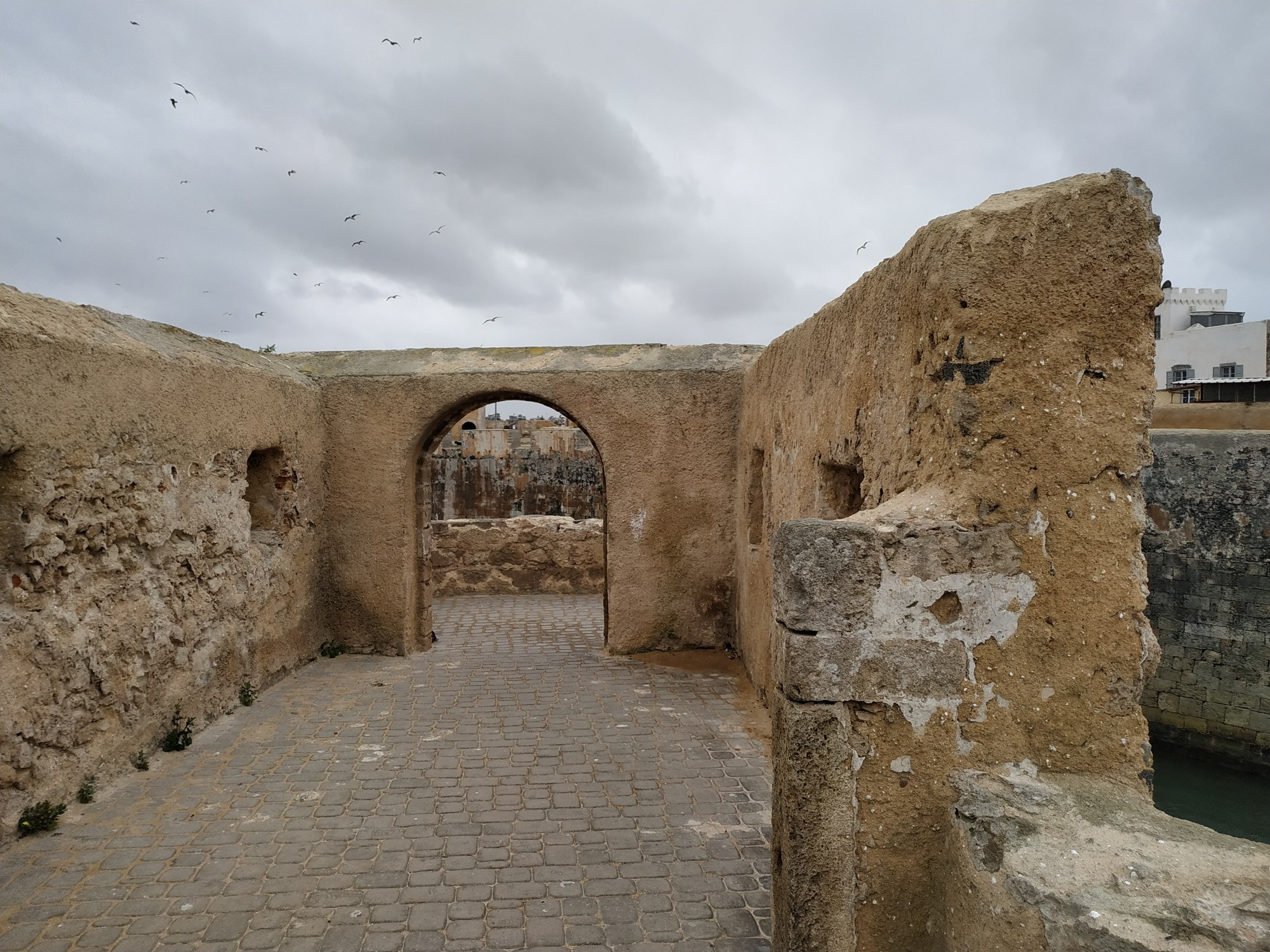 Эль-Джадида. На стене крепости Мазаган. (16.03.2020)