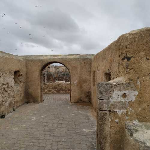 Эль-Джадида. На стене крепости Мазаган. (16.03.2020)