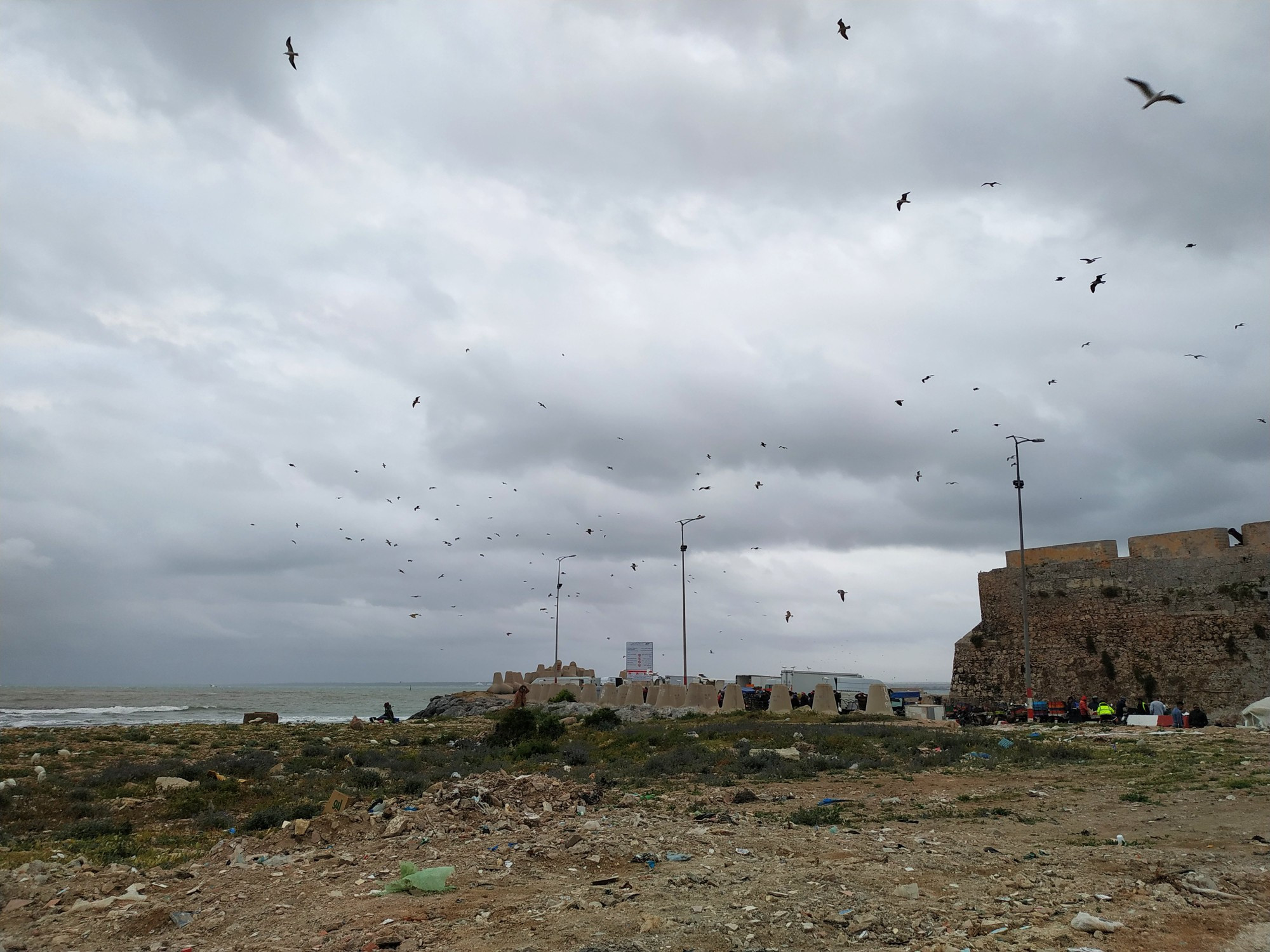 Эль-Джадида. Чайки над рыбным рынком. (16.03.2020)