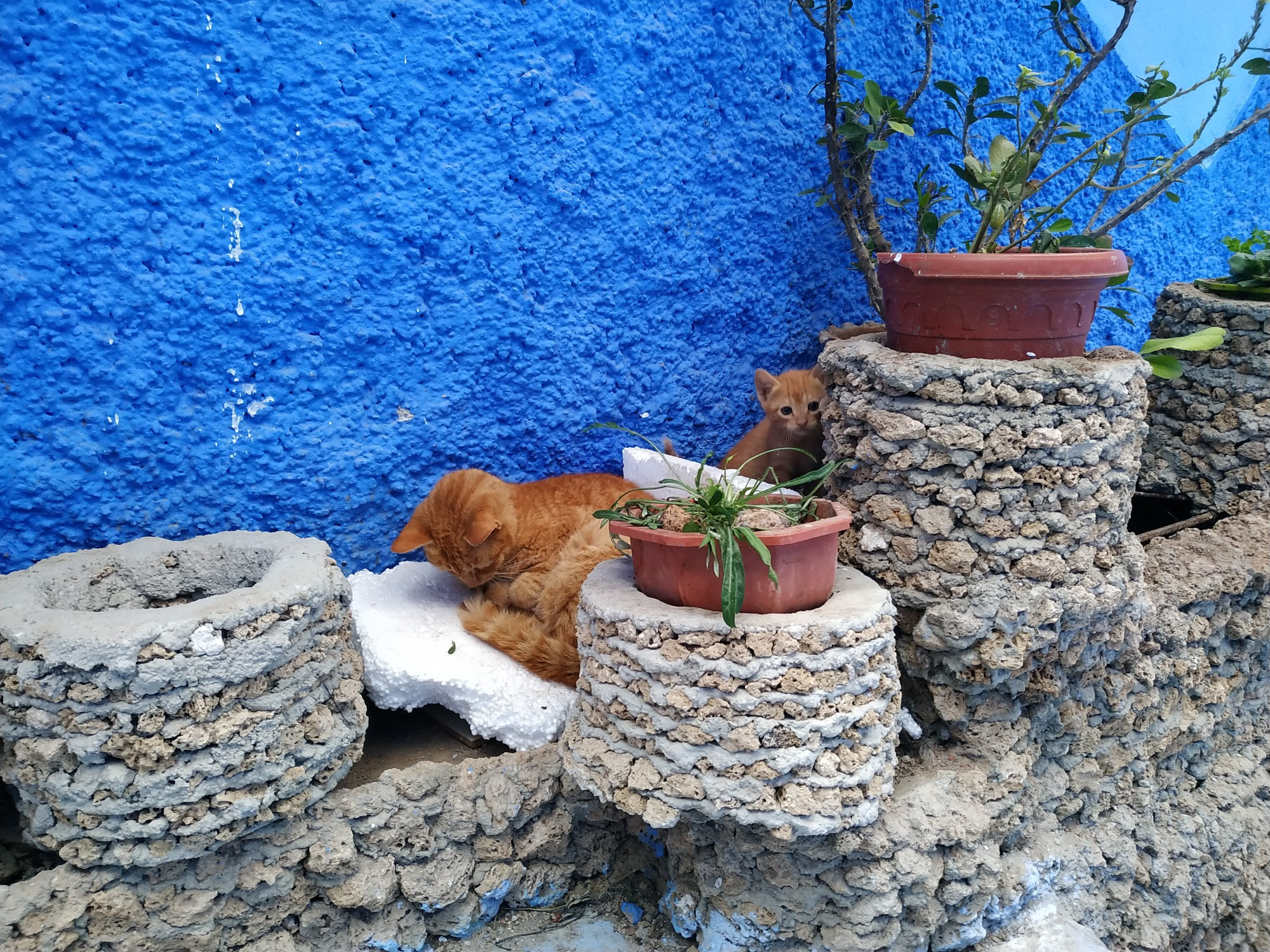 Chefchaouen, Morocco