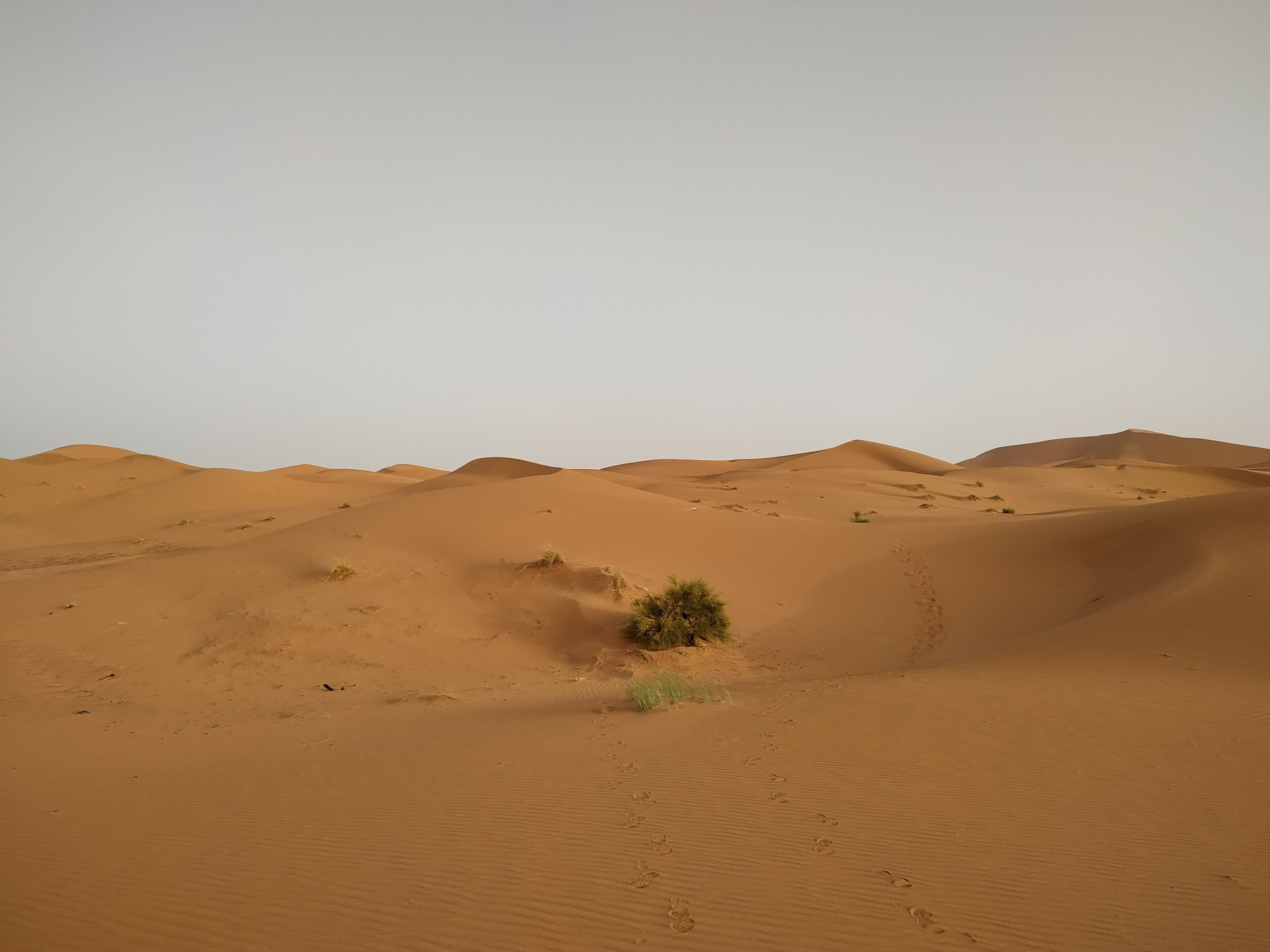 Erg Chebbi, Morocco