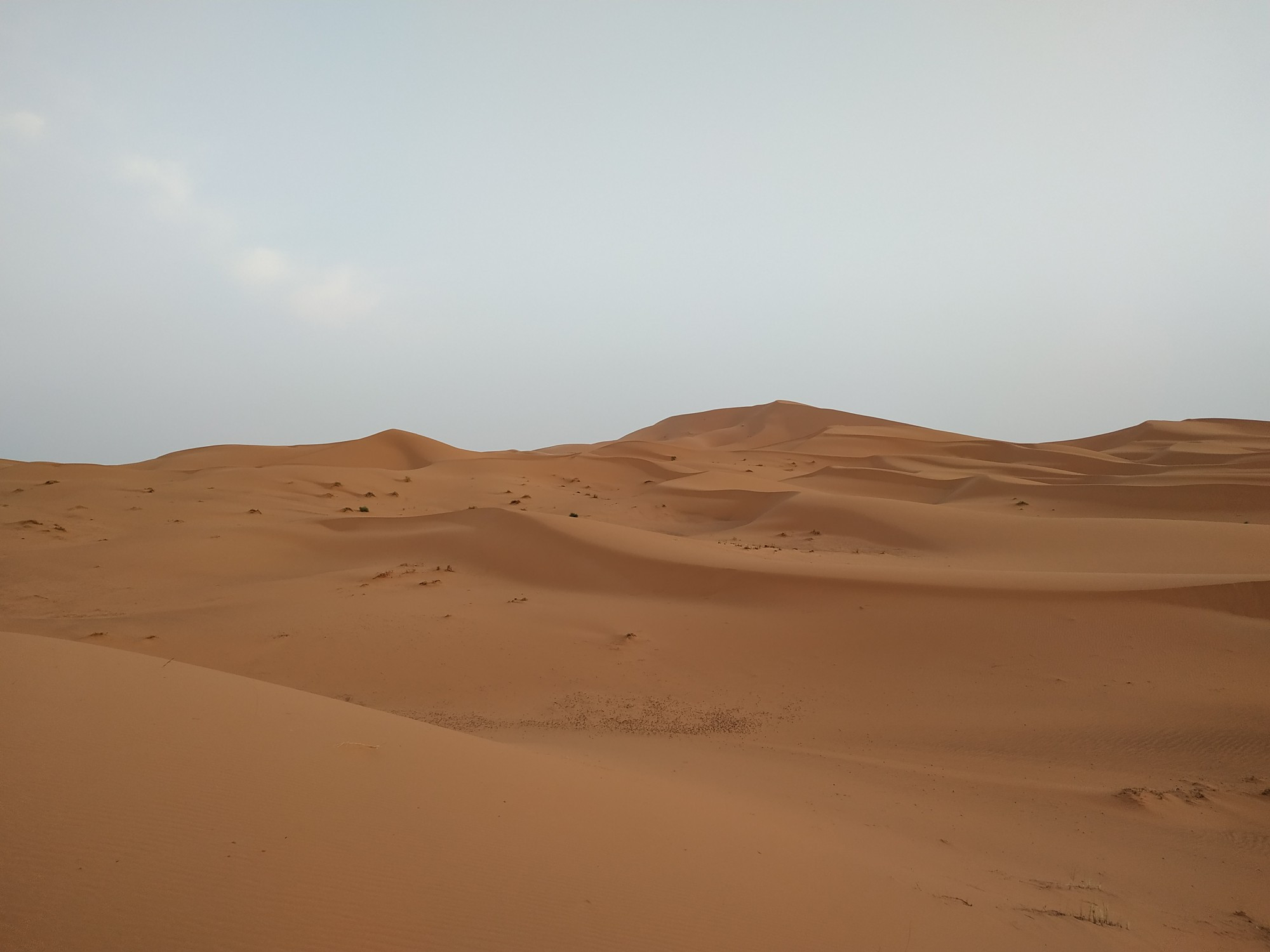 Erg Chebbi, Morocco