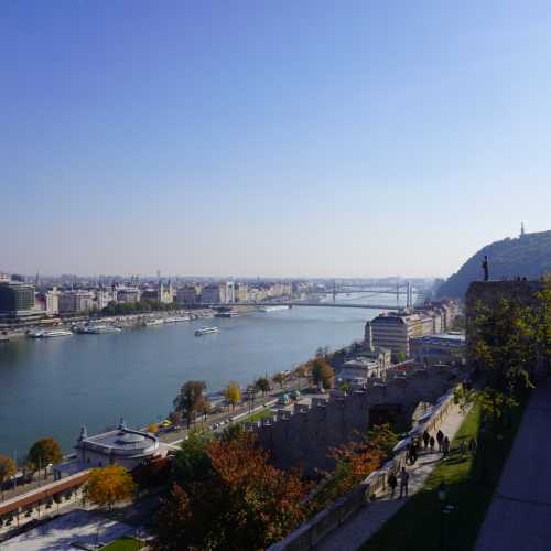 Будапешт. Королевский дворец. Вид на Дунай. (28.10.2021)