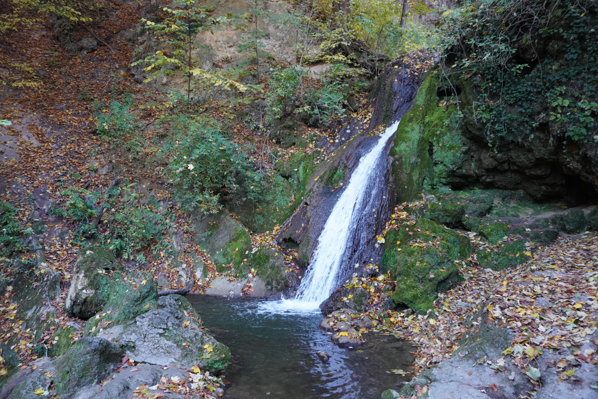 Лиллафюред, Венгрия