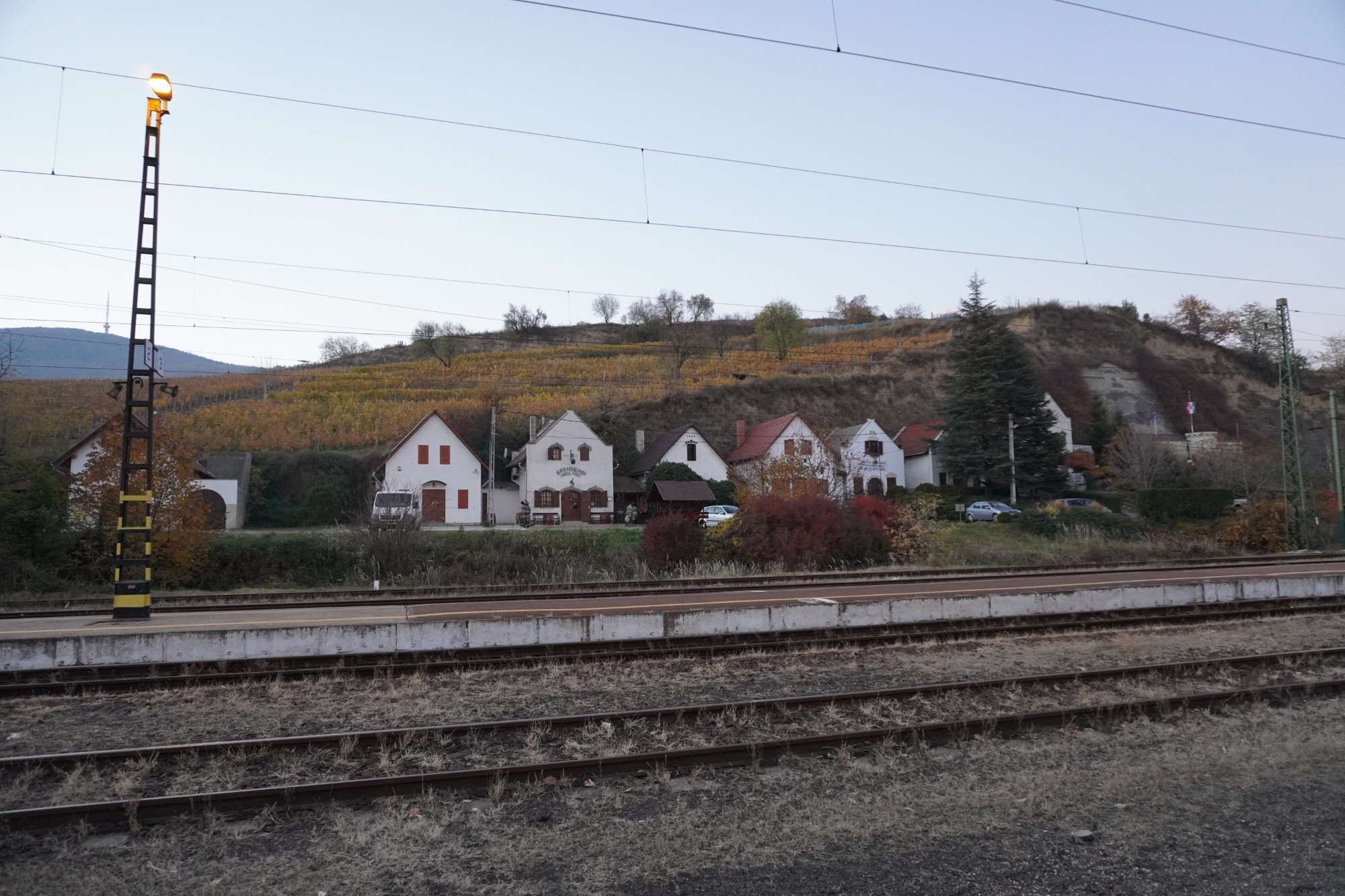 Токай. Вид на виноградники с железнодорожной станции. (29.10.2021)