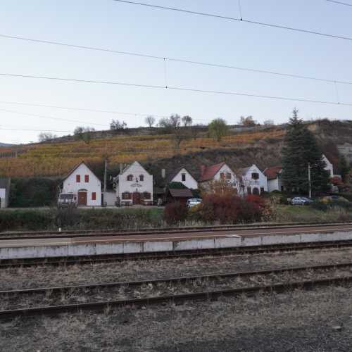 Токай. Вид на виноградники с железнодорожной станции. (29.10.2021)